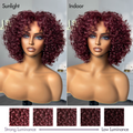 Weekly Special | Trendy Burgundy Curly Bob Glueless Minimalist HD Lace T Part 99J Hair Color Wig 100% Human Hair